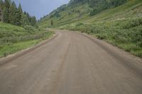 a dirt road leading to a grassy hillside near a forest and hill top, in the middle of an empty landscape