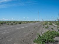 Scenic Road in Colorado: Nature-filled Surroundings