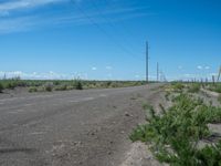 Scenic Road in Colorado: Nature-filled Surroundings