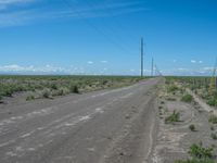 Scenic Road in Colorado: Nature-filled Surroundings