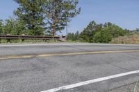 Scenic Road Colorado Tree Vegetation View 001