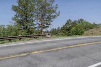 Scenic Road with Colorado Tree and Vegetation View 002