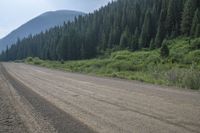 a dirt road is winding by a mountain side with trees on both sides and a mountain in the back