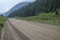 a dirt road is winding by a mountain side with trees on both sides and a mountain in the back