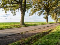 there are many trees on the other side of a road in this country town area