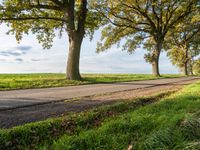 there are many trees on the other side of a road in this country town area
