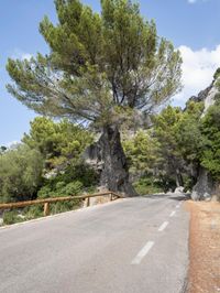 Scenic Road in Spain, Europe