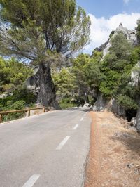 Scenic Road in Spain, Europe