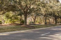 Scenic Road in Florida with Lush Green Grass and Trees