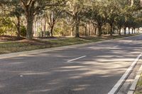 Scenic Road in Florida with Lush Green Grass and Trees