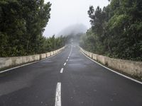 a road leading to a fog covered mountain with trees on both sides and a red traffic light