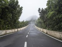 a road leading to a fog covered mountain with trees on both sides and a red traffic light