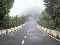 a road leading to a fog covered mountain with trees on both sides and a red traffic light