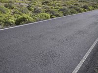 an asphalt road with a mountain in the distance with shrubs and a dirt area behind it