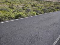 an asphalt road with a mountain in the distance with shrubs and a dirt area behind it