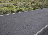 an asphalt road with a mountain in the distance with shrubs and a dirt area behind it