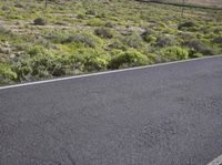 an asphalt road with a mountain in the distance with shrubs and a dirt area behind it