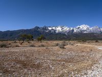 the snow - covered mountain range in the distance is visible from the road through the dry grass and vegetation