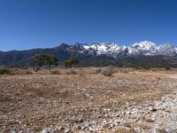 the snow - covered mountain range in the distance is visible from the road through the dry grass and vegetation