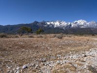 the snow - covered mountain range in the distance is visible from the road through the dry grass and vegetation