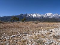 the snow - covered mountain range in the distance is visible from the road through the dry grass and vegetation