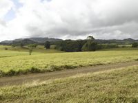 a dirt road passing through a field filled with green grass and mountains in the distance