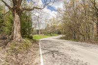 a empty road in the middle of some trees and trees around it, leading toward a street where there are a few vehicles