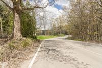 a empty road in the middle of some trees and trees around it, leading toward a street where there are a few vehicles