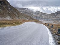 a road in the mountains with two cattle near it and one cow grazing in the distance