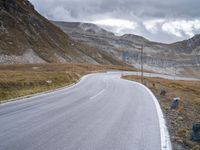 a road in the mountains with two cattle near it and one cow grazing in the distance