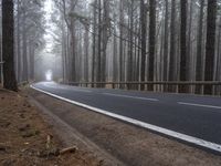 a road is driving through the trees with fog and foggy skies and a person riding a bike down the side of it