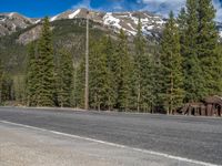 Scenic Road in Ironton, Colorado: Snow-Covered Trees