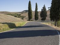 Scenic Road in Italy: Highland Hills and Cypress Trees