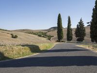 Scenic Road in Italy: Highland Hills and Cypress Trees