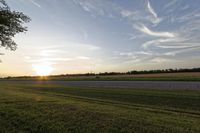 two large grain bins sit in the center of a field, surrounded by silos
