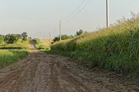 a dirt road with a stop sign in the middle of it's middle grass field