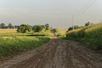 a dirt road with a stop sign in the middle of it's middle grass field