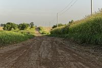 a dirt road with a stop sign in the middle of it's middle grass field