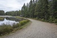 a path leading to a lake near some trees and bushes next to the road with a bicycle on it