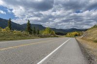 Scenic Road Landscape in Alberta, Canada