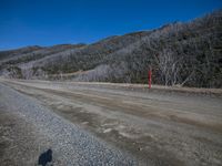 a road with a small hill in the background, and two bicycle riders shadow on the ground