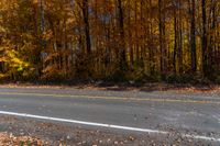 a paved road is lined with leaf covered trees and yellow leaves falling to the ground