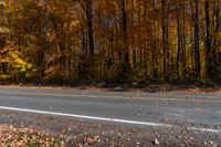 a paved road is lined with leaf covered trees and yellow leaves falling to the ground