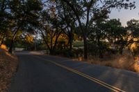 a photo of the road lined by trees in the sunlight to show safety and warmth