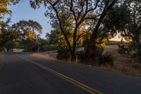 a photo of the road lined by trees in the sunlight to show safety and warmth