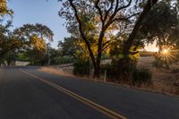 a photo of the road lined by trees in the sunlight to show safety and warmth