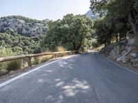 road with steep mountains and trees behind it in the daytime sunlight that has low sun