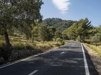 an empty road winds up past the mountains and trees for a scenic perspective as it winds