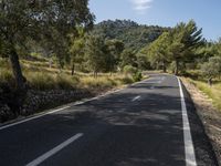 an empty road winds up past the mountains and trees for a scenic perspective as it winds