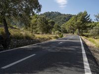 an empty road winds up past the mountains and trees for a scenic perspective as it winds